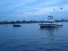 120-2089_IMG.JPG